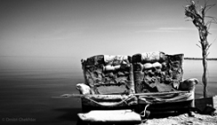 接码短信社区平台