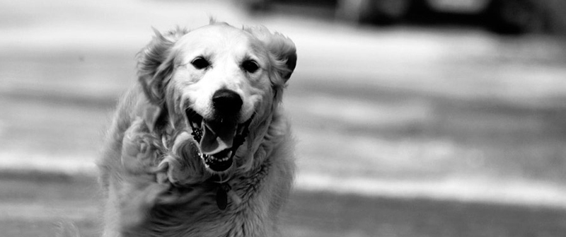 网络短信在线发送